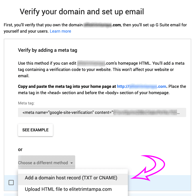 screen image showing how to verify domain